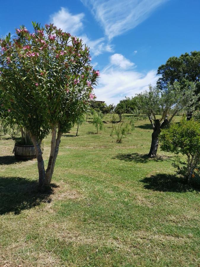 Home Garden Siniscola Eksteriør billede